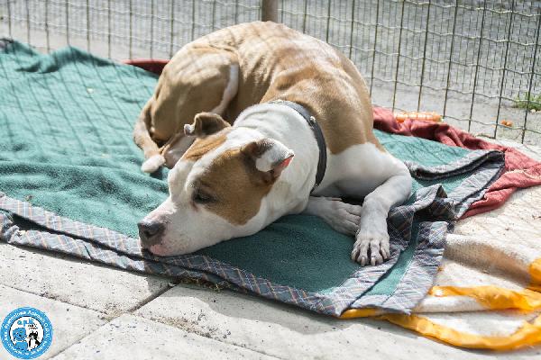 Molly, una casa per gli anni più preziosi Foto 8